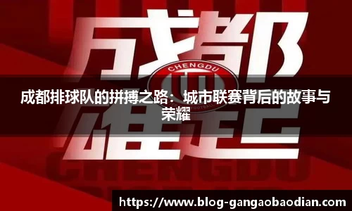 成都排球队的拼搏之路：城市联赛背后的故事与荣耀